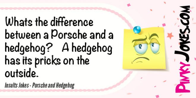 Insults Jokes Porsche And Hedgehog 660x330