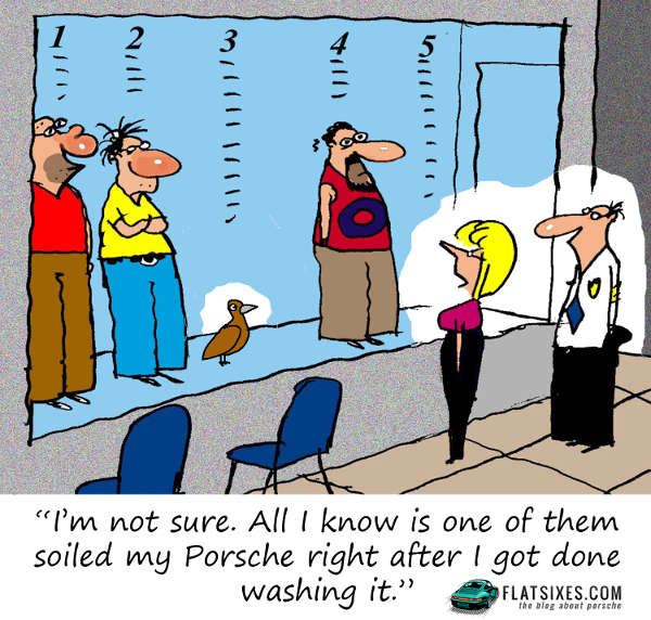 Bird Pooping On Porsche Cartoon