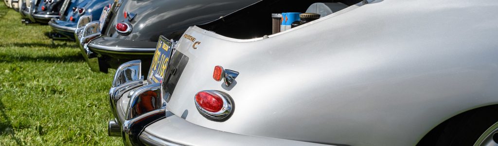 GermanPalooza, PIR, Aug 2018 132 X3