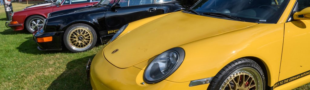 GermanPalooza, PIR, Aug 2018 25 X3