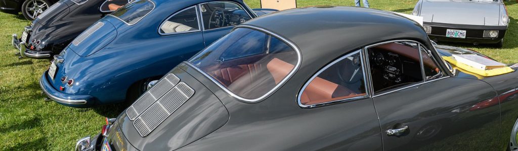 GermanPalooza, PIR, Aug 2018 33 X3