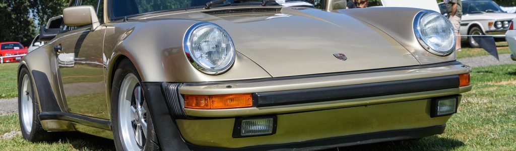 GermanPalooza, PIR, Aug 2018 73 X3