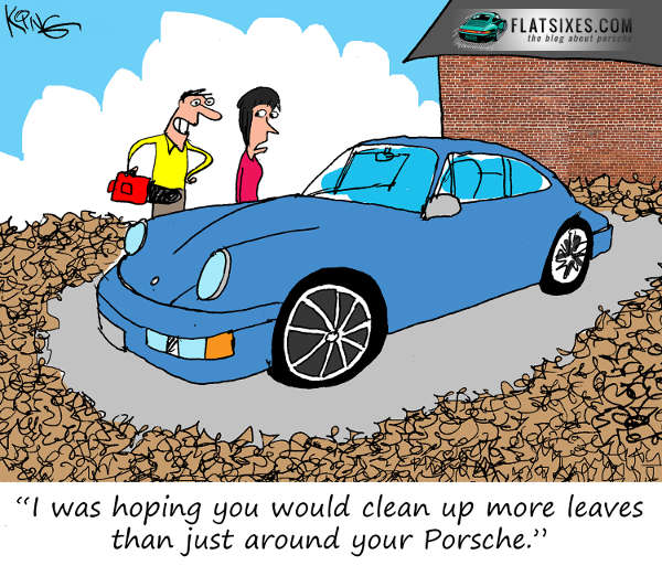 Porsche Cartoon Fall