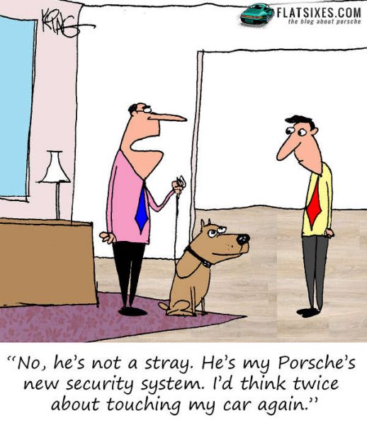 Porsche Cartoon Security System 518x600