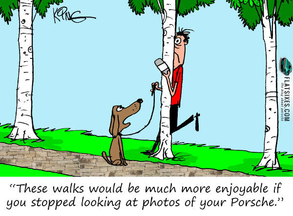 Porsche Cartoon Walk Into Tree